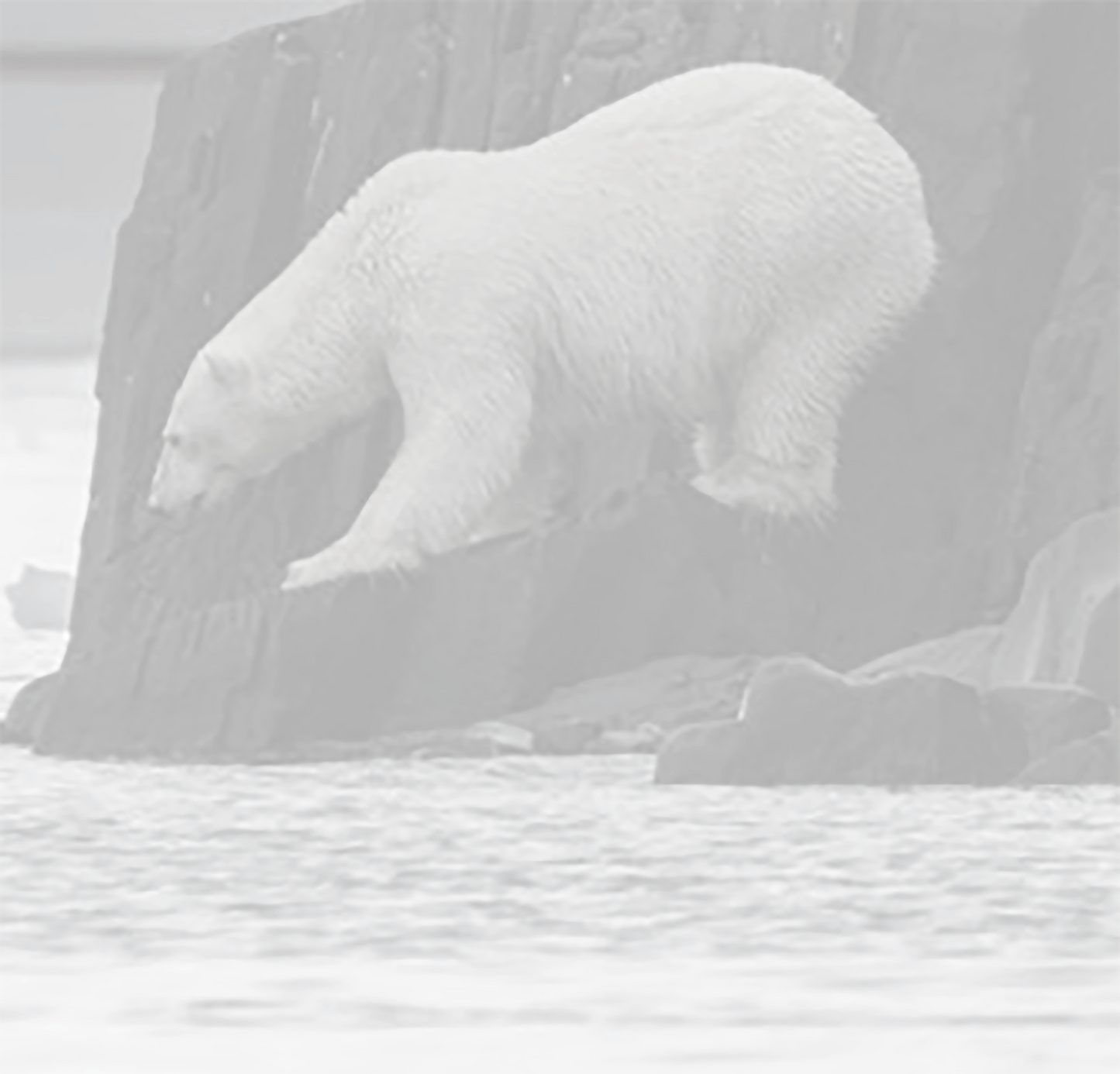 Unisex Vector T-Shirt #3